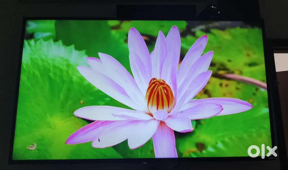 Sony Bravia 55inch 4K