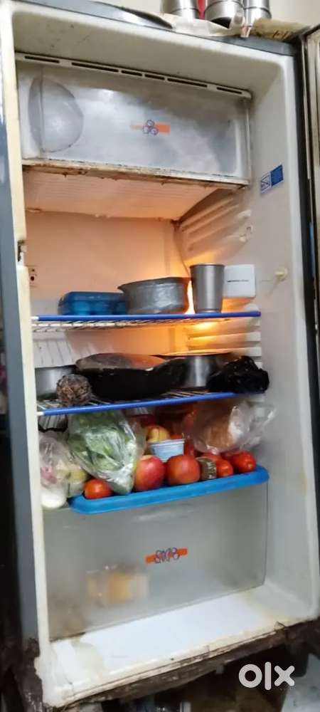 Working REFRIGERATOR for 2000 rs