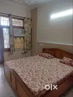 Fully Furnished Flat 1 Room and Toilet Only Working Employee Sector 49