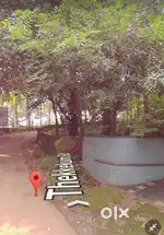 80 Cents plot with teakwood trees for sale in Parudur, Pattampi,  KL