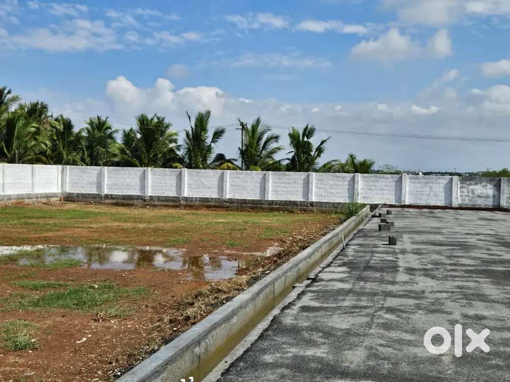 PLOTS NEAR SUGUNA INTERNATIONAL SCHOOL