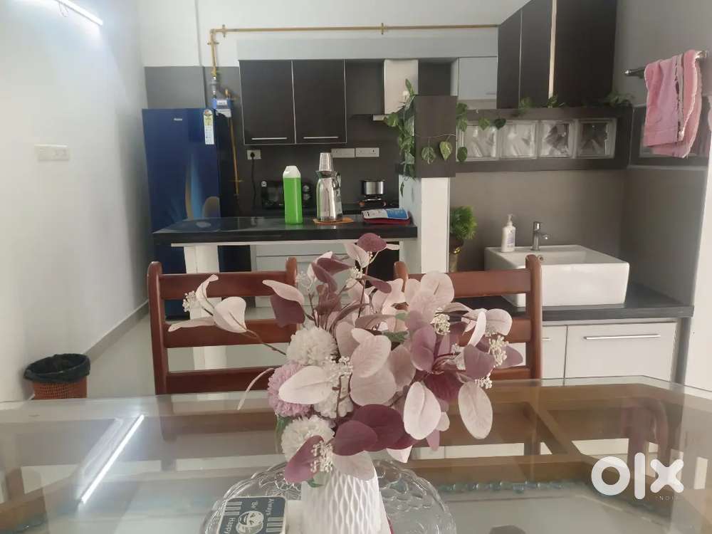 Kakkanad seeport road near NGOquotes 3BHKfully furnished flat rent fam