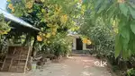 1350 sqft House in Meenangadi