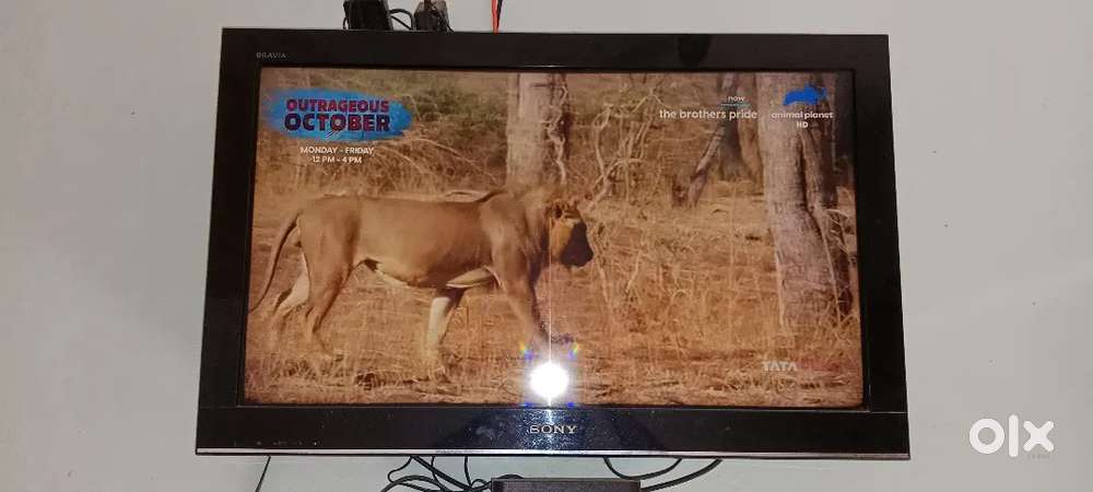 Sony Bravia 32
