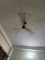 Samosa badai banane ke liye halwai ki need h immediately