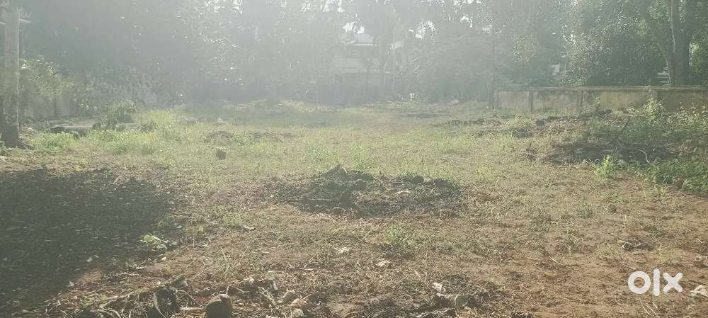 Vanchiyoor 11 cent land for sale.