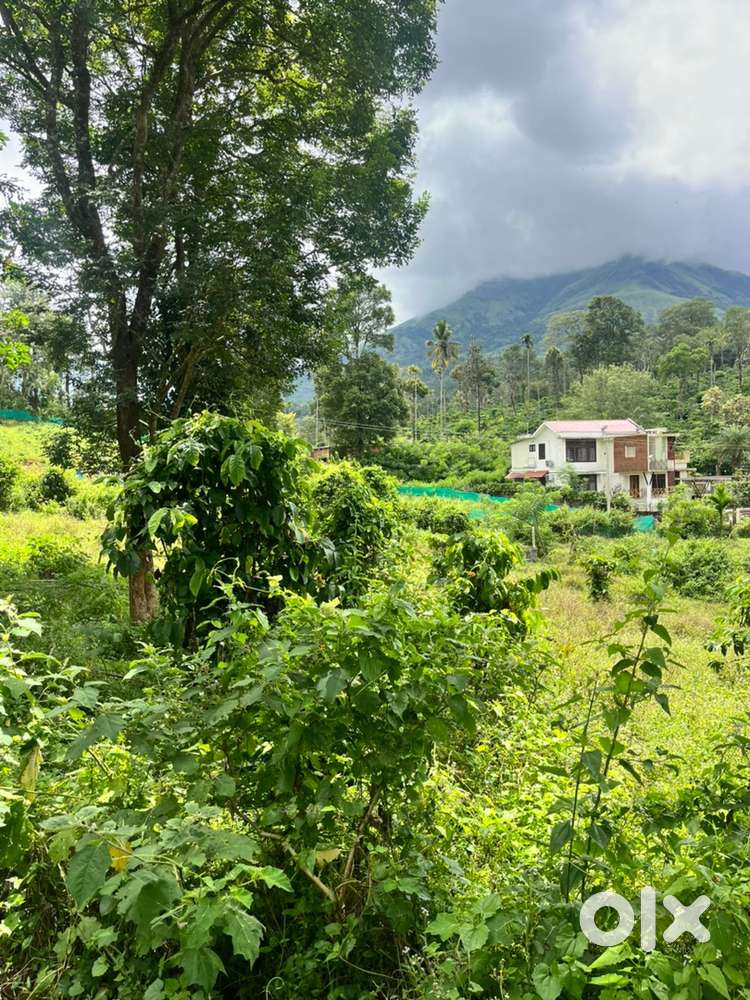 Wayanad vythiri 17 cent homestay selling
