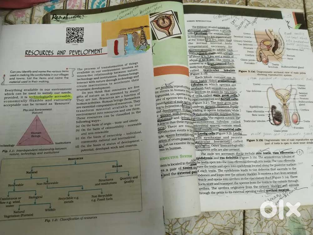 Need students (CHSL , CBSE )