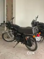 Vintage Boxer 2004
