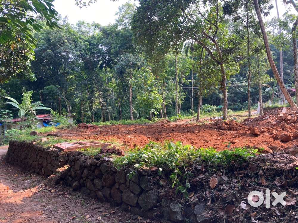 19 Cent Residential Plot for Sale