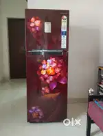 Fridge 2023 model