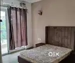 Furnished only for bachelor