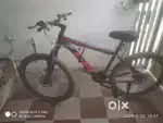 Schnell c-3r cycle 3 year old gear cycle