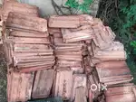 Bangalori khapari बेंगलोरी खापरी