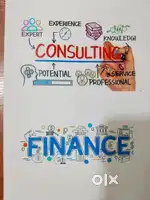 Business analyst
