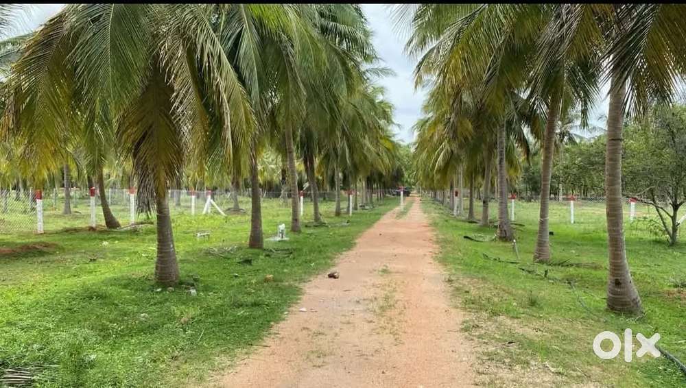 J .J  engineering college nearby Royal Farm land available