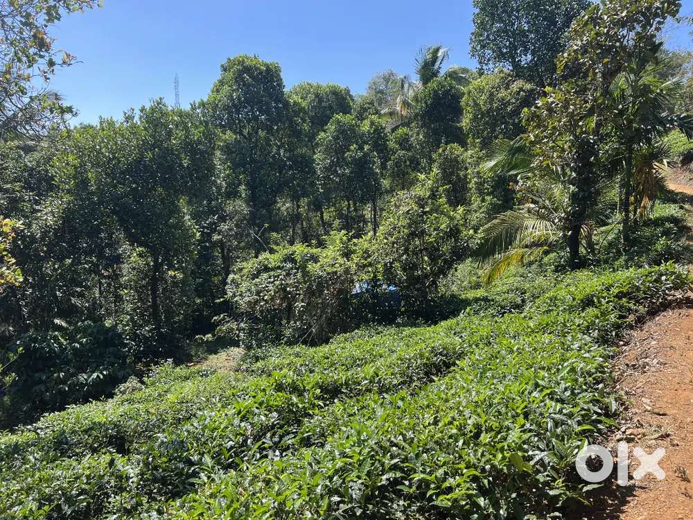 1.87 ACRE INVESTMENT PURPOSE LAND FOR SALE IN VALAD