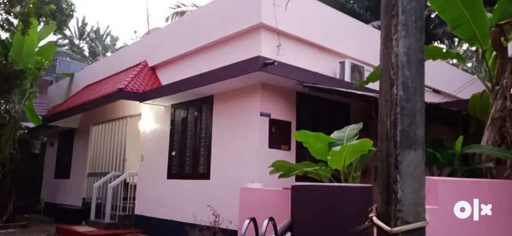 3 bhk independent house in 7.1cent for sale  at anayaya
