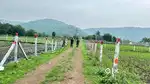 Farmland nearby indore, khandwa road pr farmhouse,sasta farmhouse