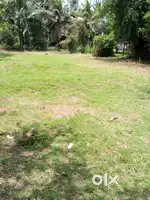 9 cent Residential plot paramb for sale @ challapatha  Kozhinjampara