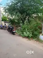 Plot for sale p&t nagar