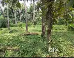 SATELMENT PLOT FOR SALE IN SANGUAM MUNICIPAL AREA