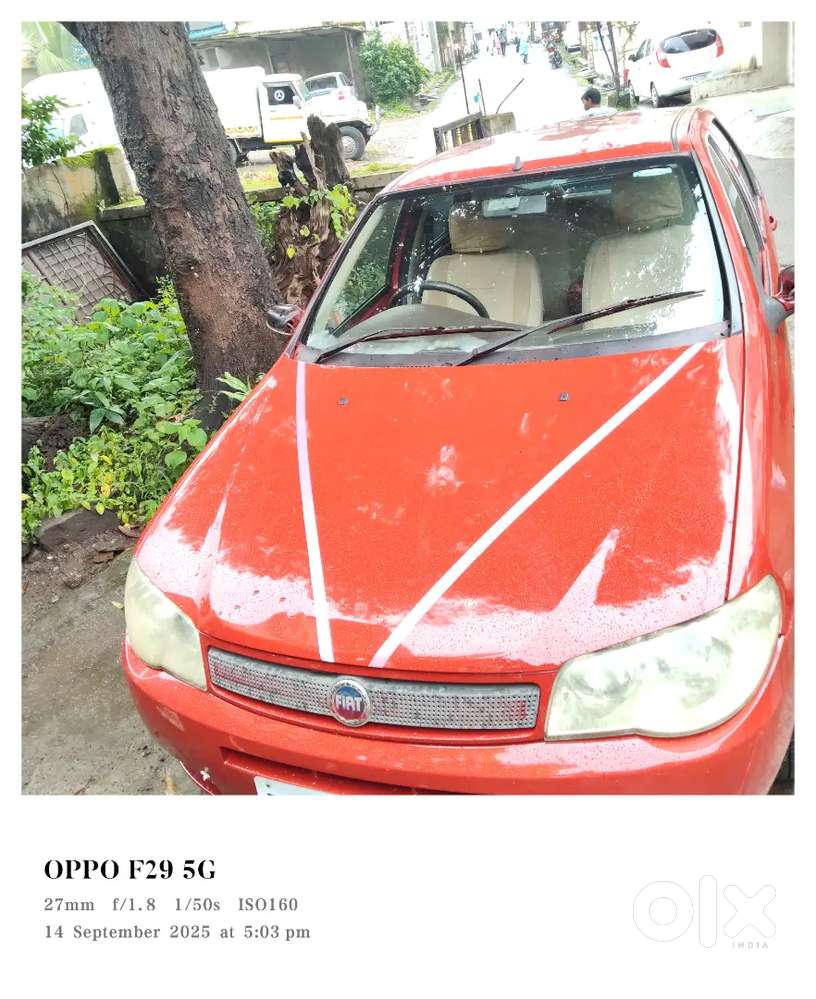 Fiat Palio 2008 Petrol Well Maintained
