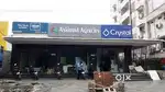 Female Junior Accountant