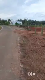 6.75 Acres for sale in Kinathukkadavu-2km-Pollachi Man Road-Acre 2Cr