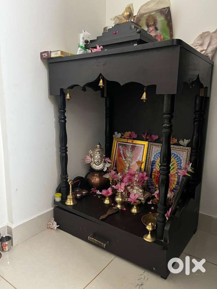 1.5 years old products available