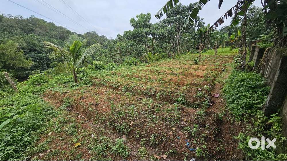 75 cents plot in Kulanada,Pandalam