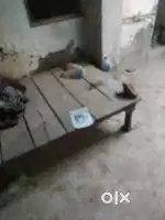 Khali pada h koi rhta nhi