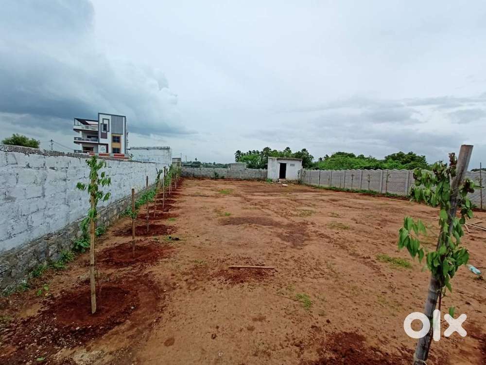 500 sqy open plot for sale in rampally North Facing