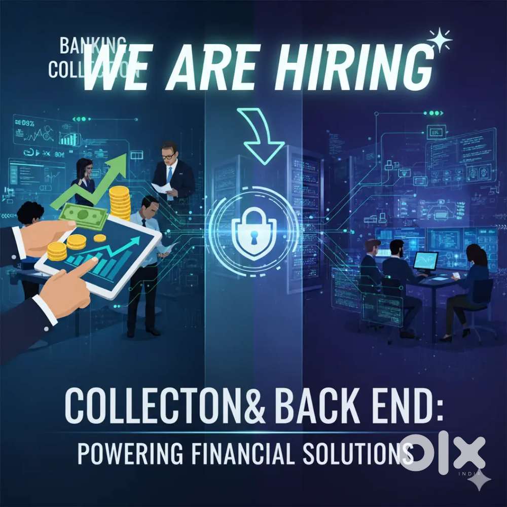 Back office staffs and Collection Executives