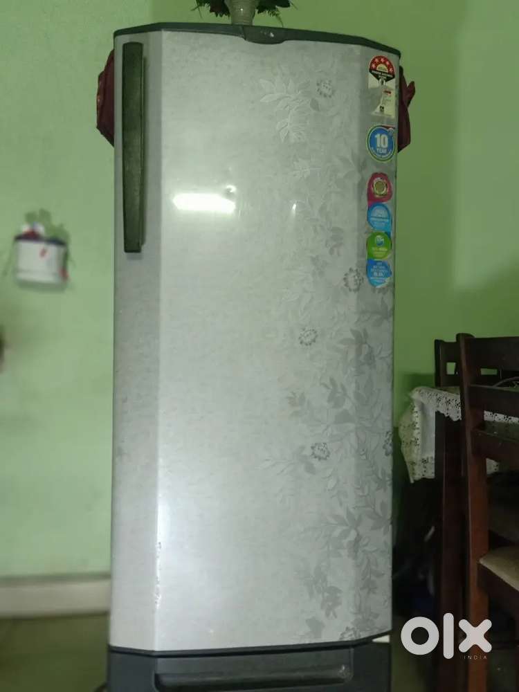 Fridge with full working condition