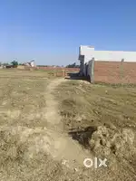 Best investing plot in future
