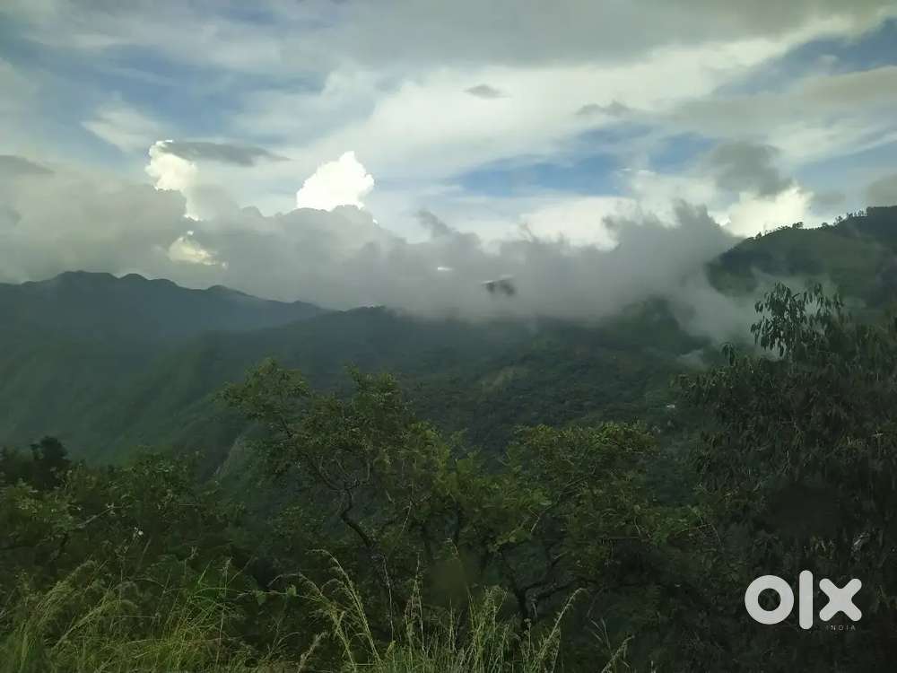 Mulavukad tar road front 21 cent sthalam vilpanak