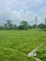 कुंवावाला प्लॉट……..