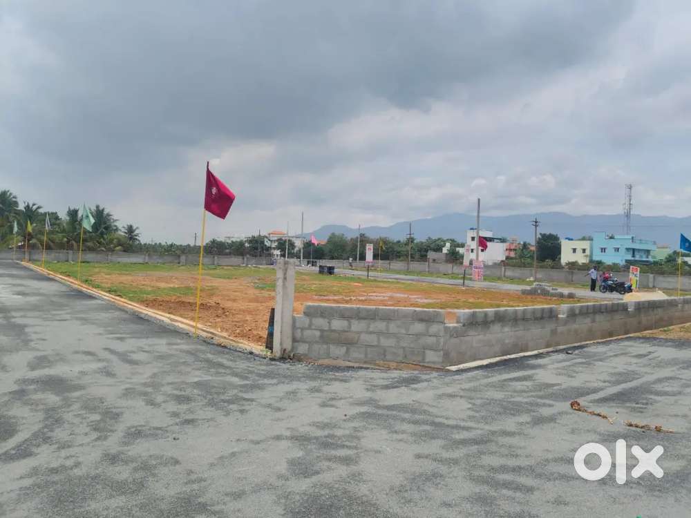 சேலம் AVS ARTS காலேஜ் பின்புறம் வீட்டுமனைகள் விற்பனைக்கு