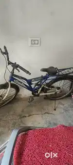 Milton bycycle