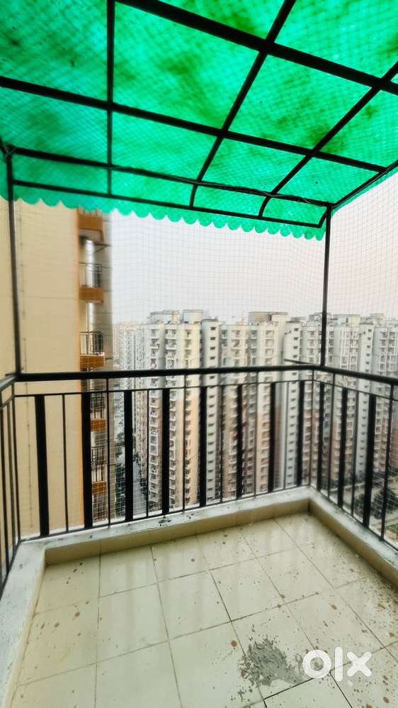 Renting property ( only girl is preferred