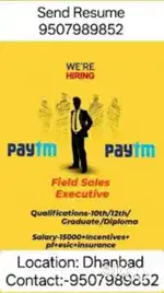 Field sales executive