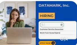 We are loooking for handsome paid jobs