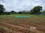 St plot for sale