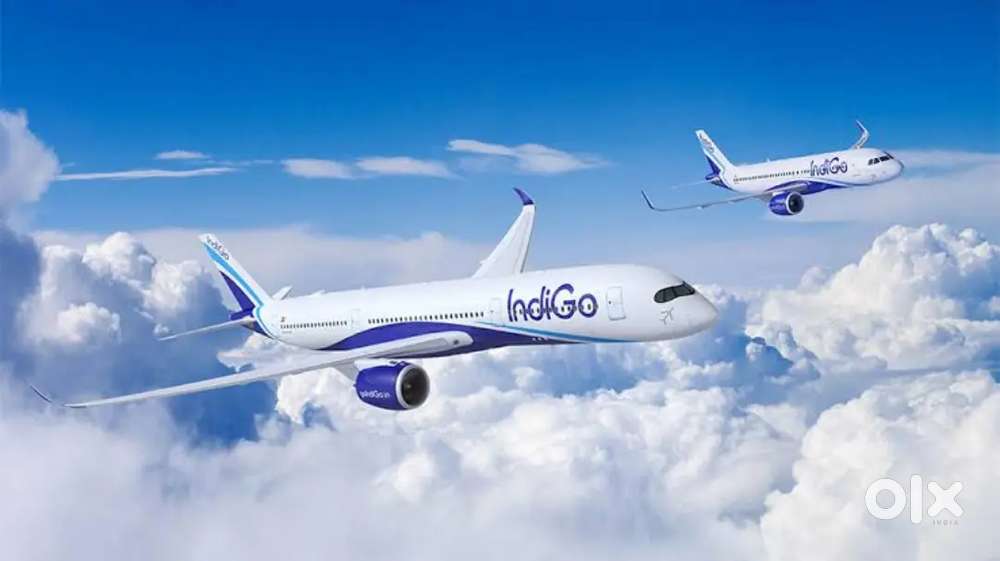 INDIGO AIRLINES JOB VACANCY FOR AIRPORT GROUND STAFF/DRIVER/CABIN CREW