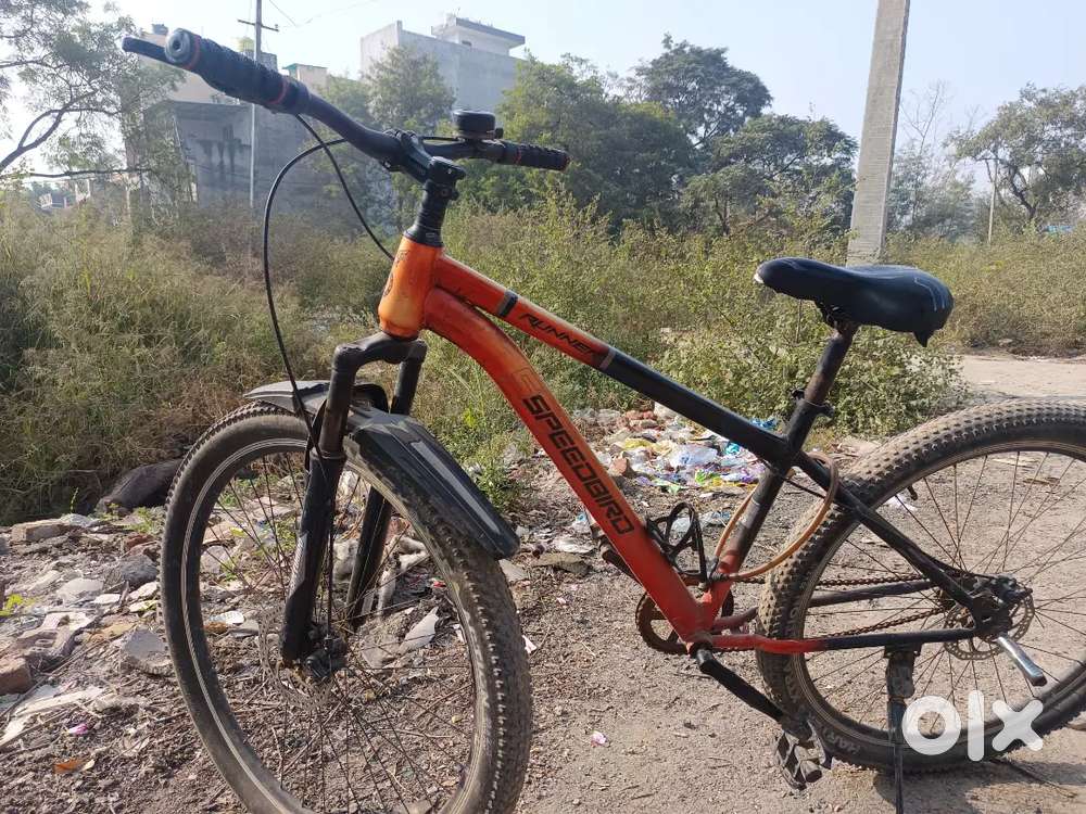 4 month old and 29inches hight