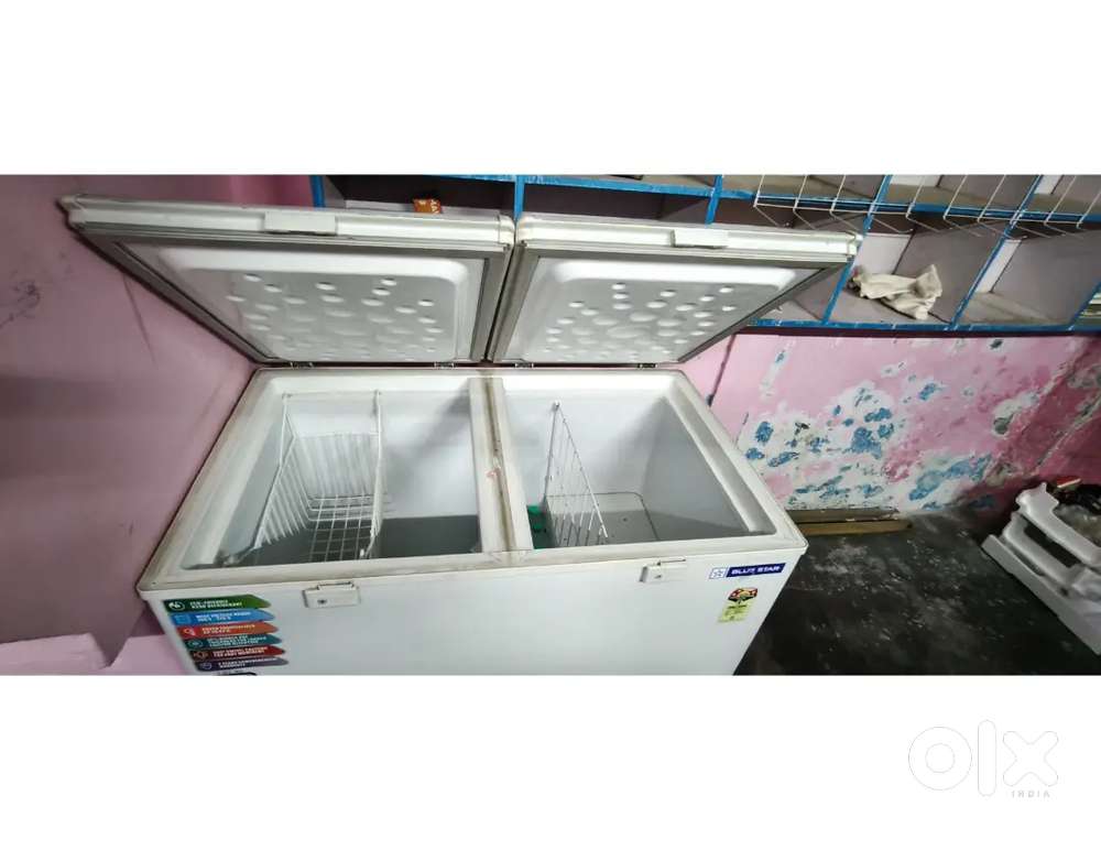 Blue Star deep freezer