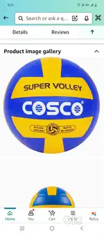 Volleyball