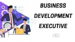 Business Development Executive