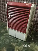 Cooler 1 year old